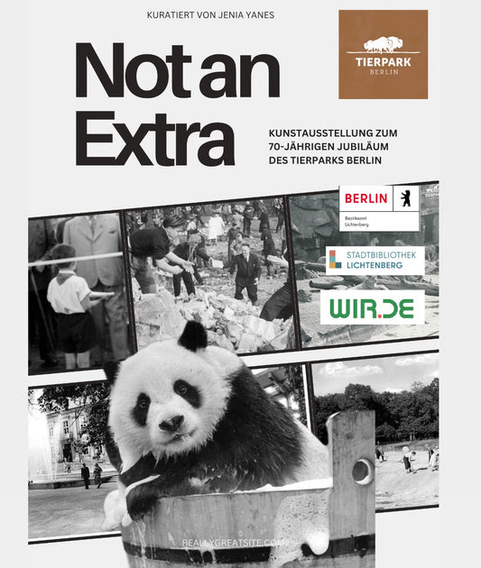 Организационный взнос Not an Extra